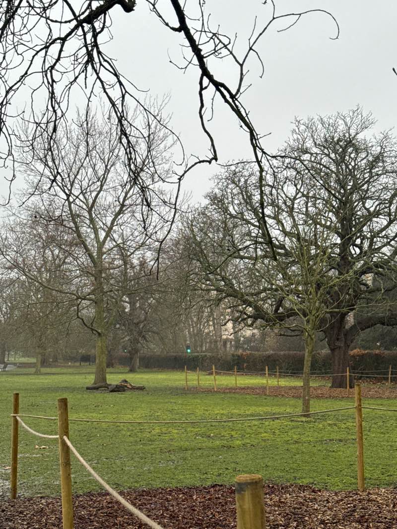 walking near me in The Regent's Park in winter