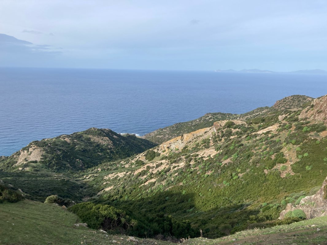 walking near me in Manno Park in winter