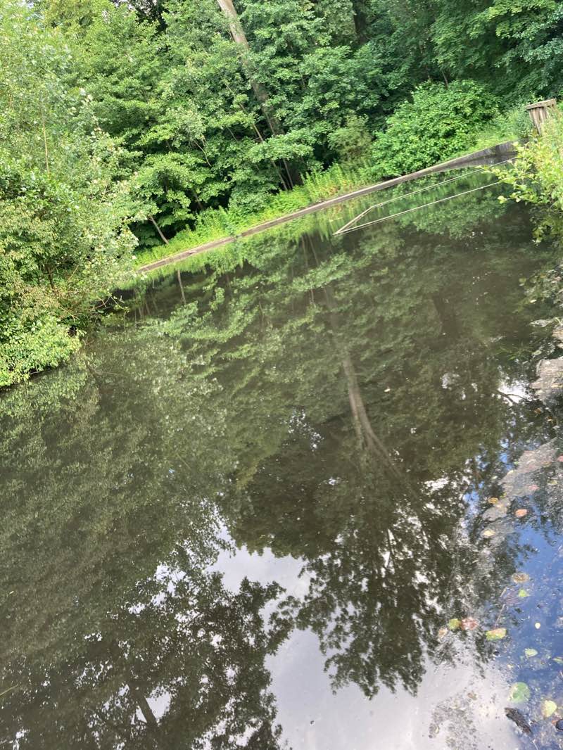 walking near me in Parc Parmentier - Parmentierpark in winter