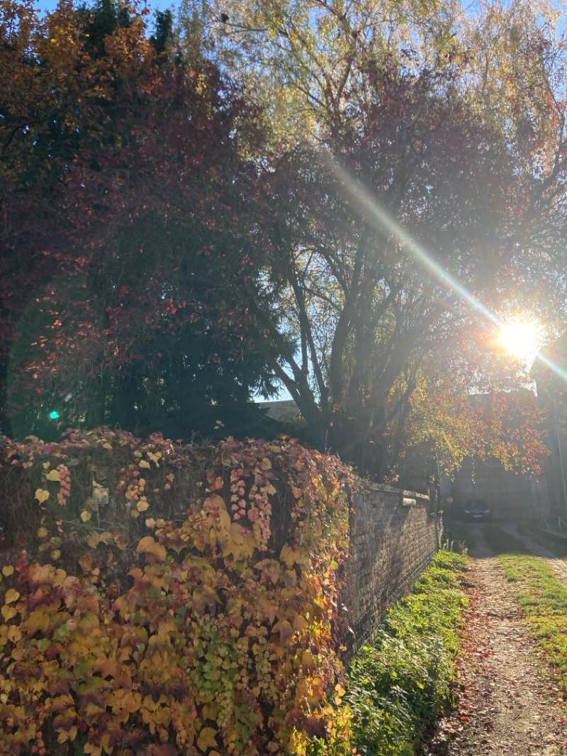 walking near me in Parc Porte de Ninove - Park Ninoofsepoort in autumn