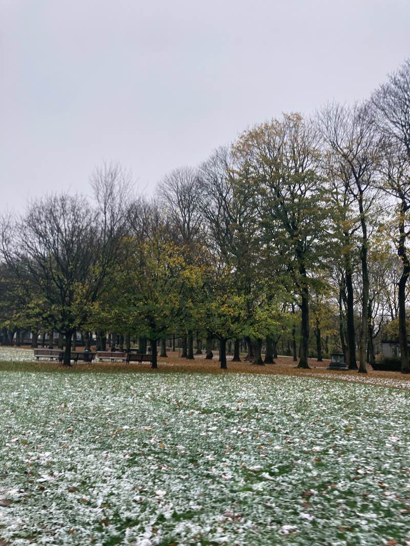 walking near me in Parc Simone de Beauvoir - Simone de Beauvoirpark in autumn