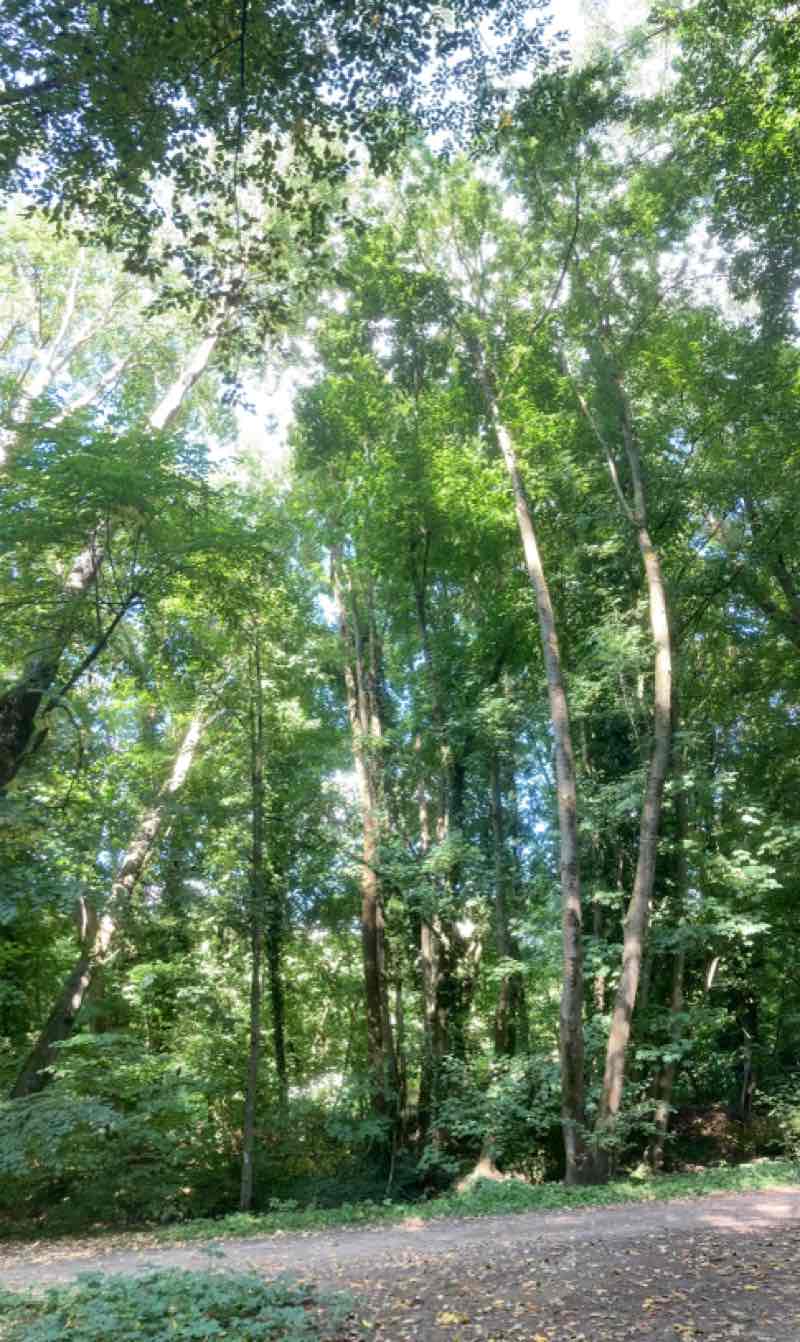 walking near me in Parc des Sources - Ter Bronnenpark in autumn