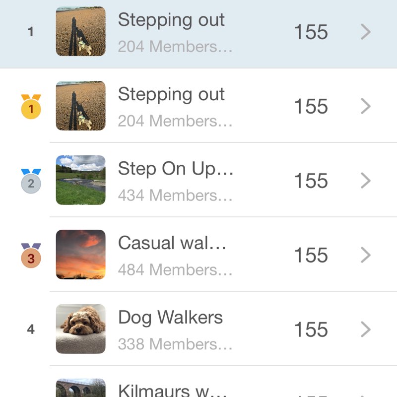 Stepping out  Scrappy post image