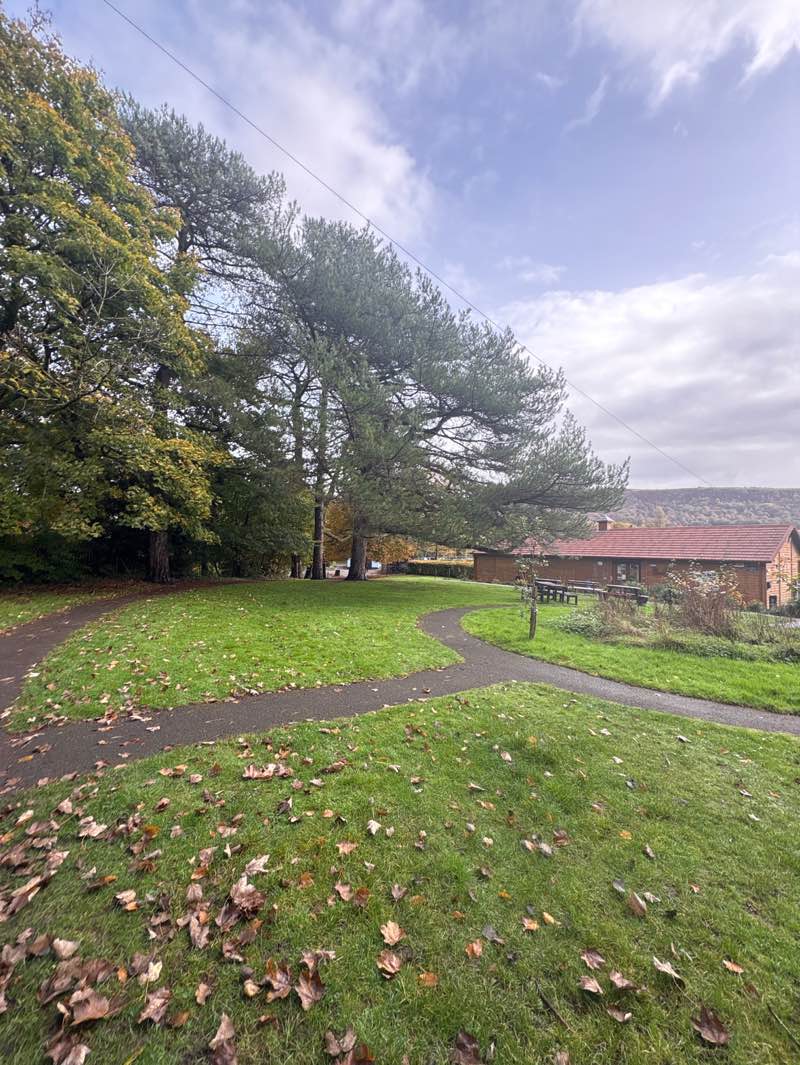 walking near me in Coed Gwilym Park in autumn