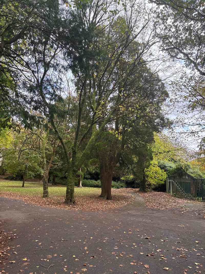 walking near me in Heol Las Park in autumn