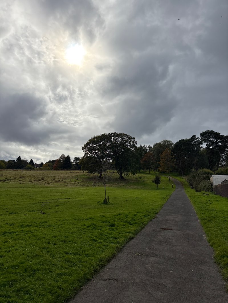 walking near me in Morriston Park in autumn