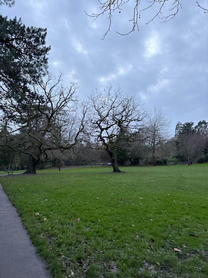 walking near me in Brynmill Park in autumn