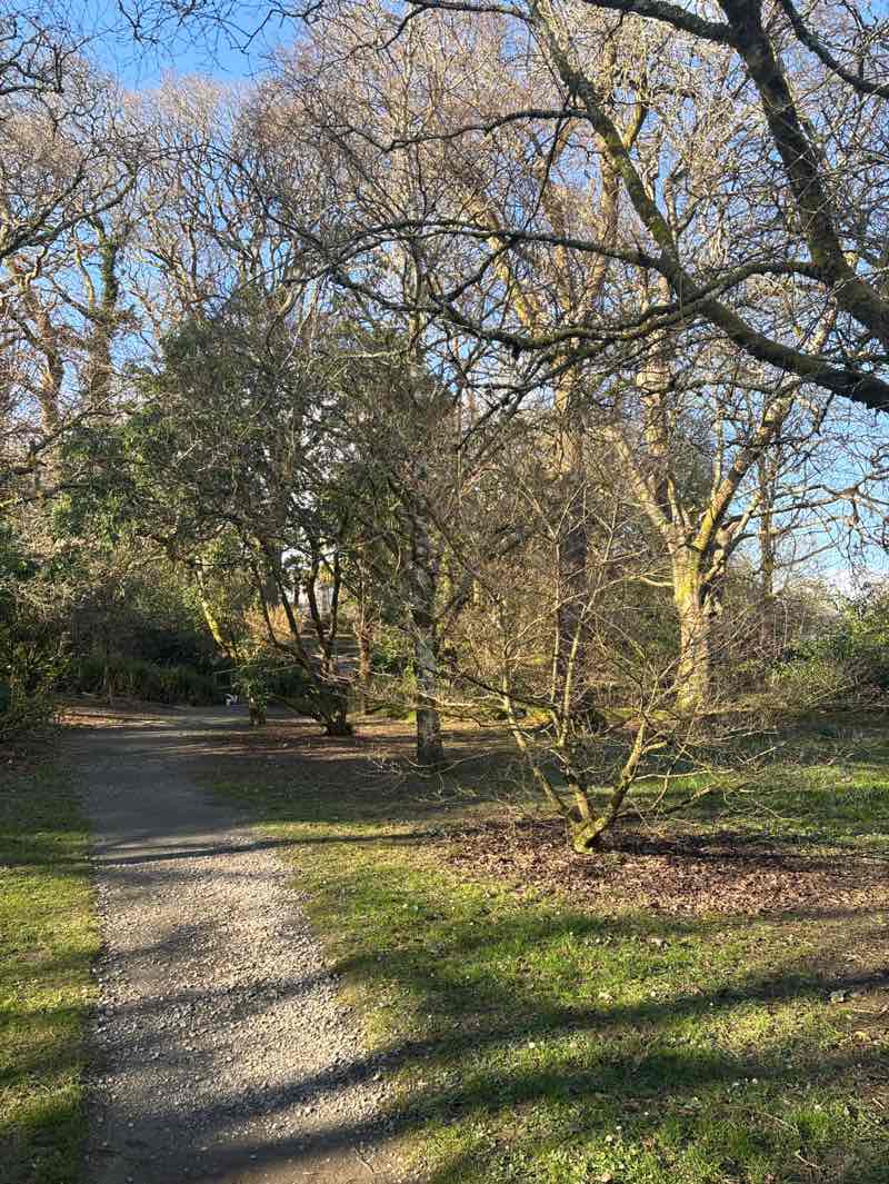 walking near me in Clyne Gardens in winter