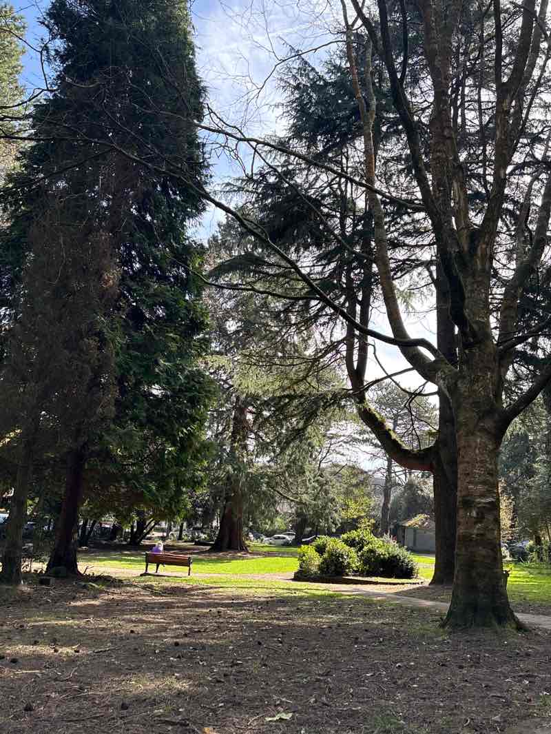 walking near me in St. James's Gardens in spring