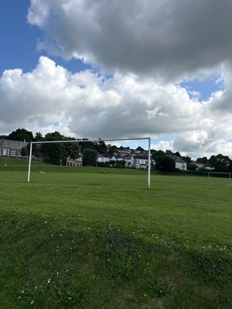 walking near me in Parc Myrddin in summer