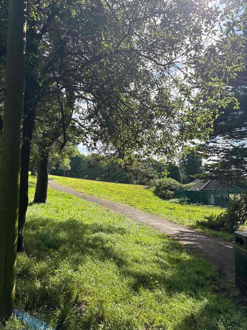 walking near me in Jersey Park in summer