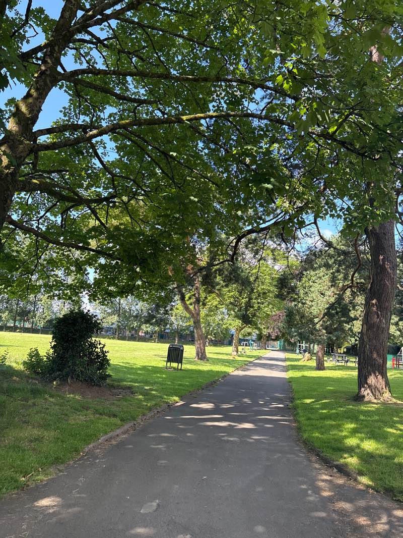 walking near me in Parc y Werin in summer