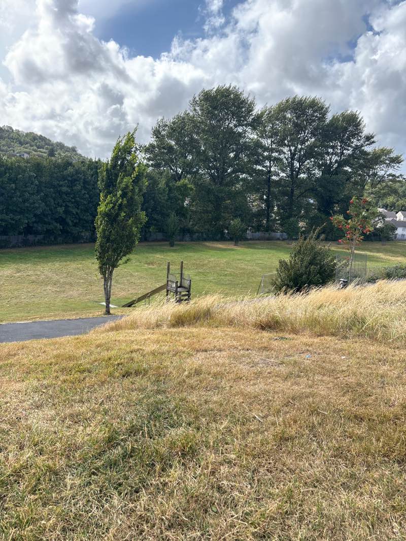 walking near me in Hafod Park in autumn