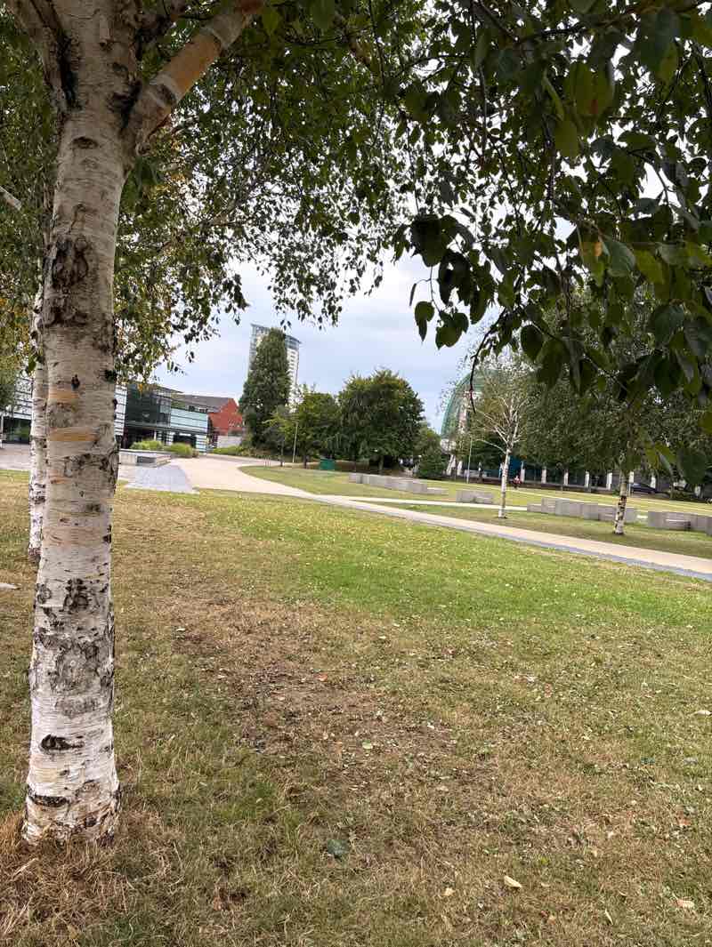 walking near me in Museum Green in autumn