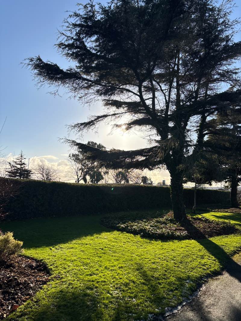 walking near me in Victoria Park in winter