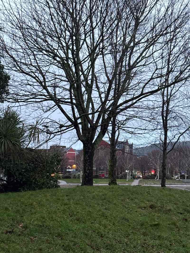 walking near me in Museum Green in winter