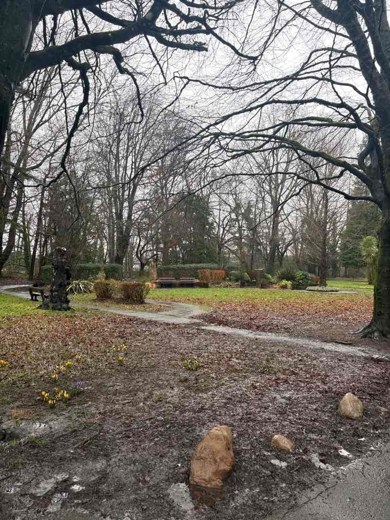 walking near me in Betws Park in winter