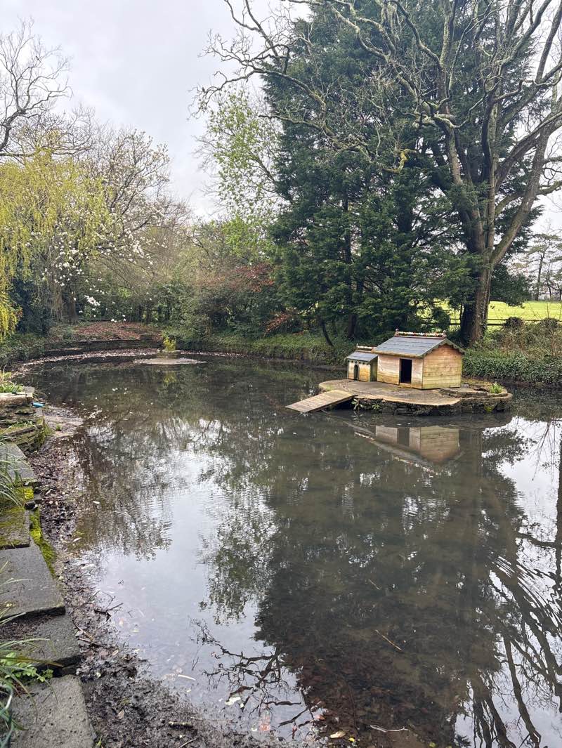 walking near me in Parc Howard in spring