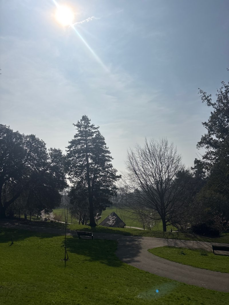walking near me in Cwmdonkin Park in spring