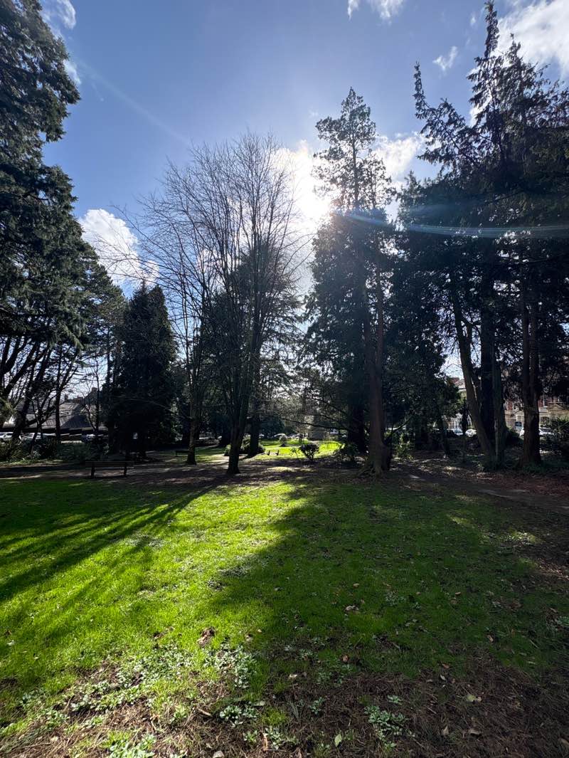 walking near me in St. James's Gardens in spring