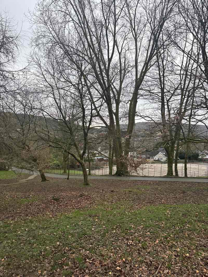 walking near me in King George V Park in spring