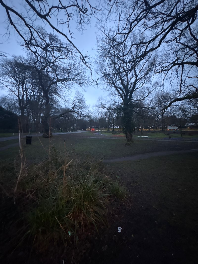 walking near me in Singleton Park in spring