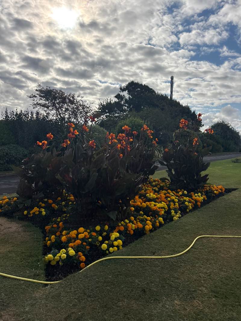 walking near me in Victoria Park in summer
