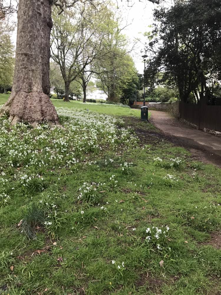 walking near me in Torwood Gardens in spring