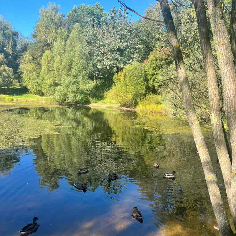 KingZosh Нина post image