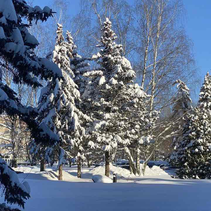 Ходьба на улице. Нина🇷🇺 post image