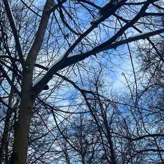 Ходьба на улице. Нина🇷🇺 post image