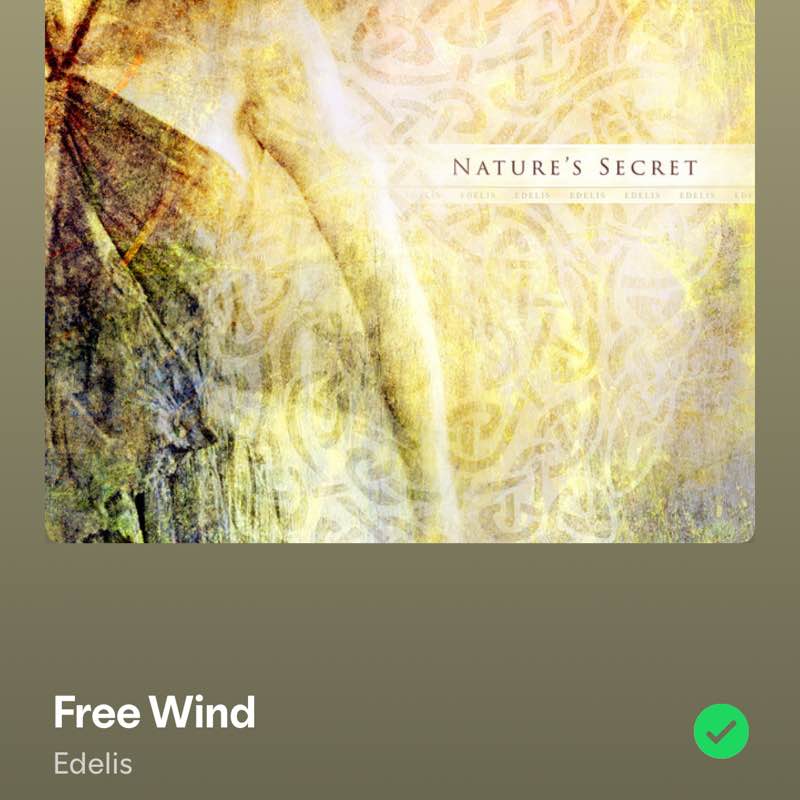 June Distance Challenge Youcef post image