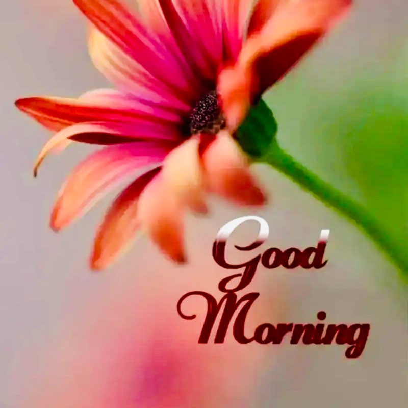 Pacer🏃🏻‍♂️🚴🏻‍♂️ Dude post 1