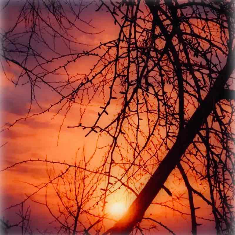 Pacer🏃🏻‍♂️🚴🏻‍♂️ Dude post 3