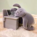 兔子（瑞北特）🐰