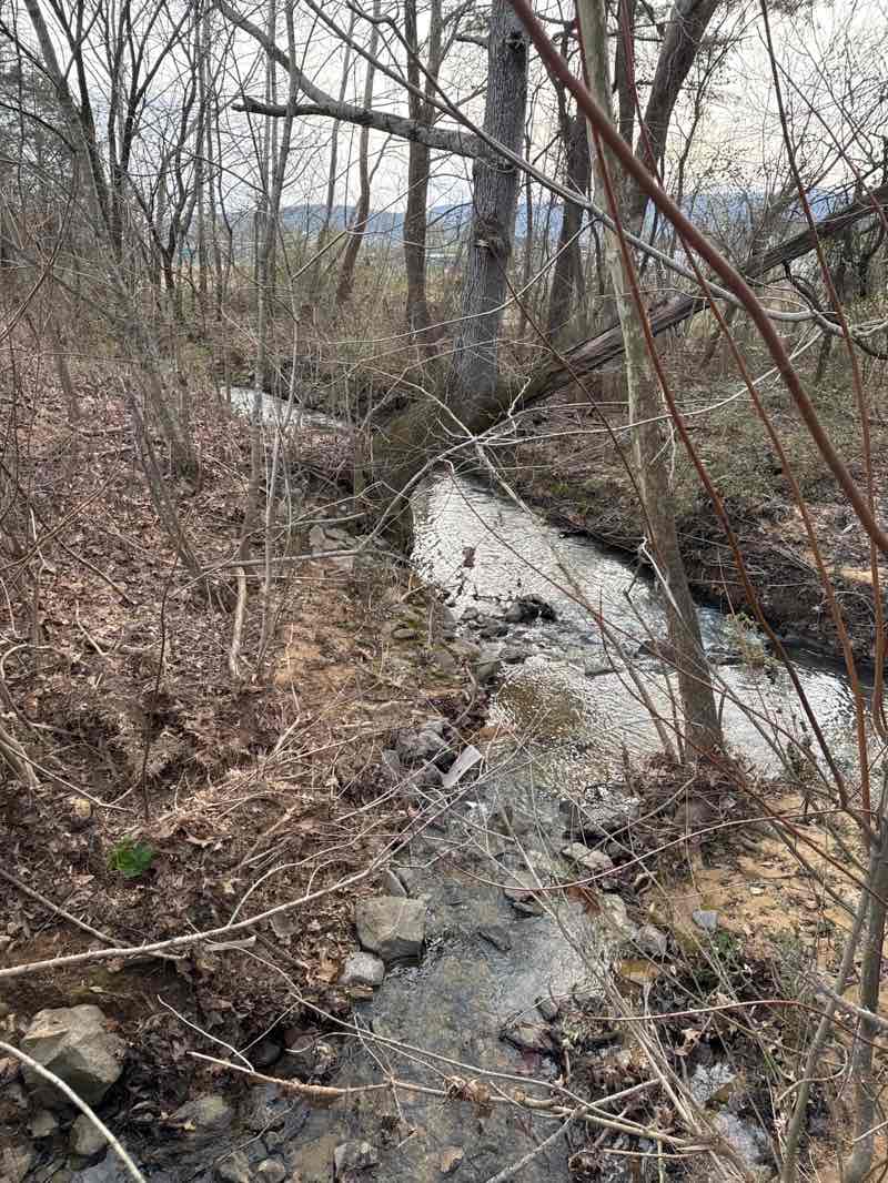 walking near me in Big Cove Greenway in winter