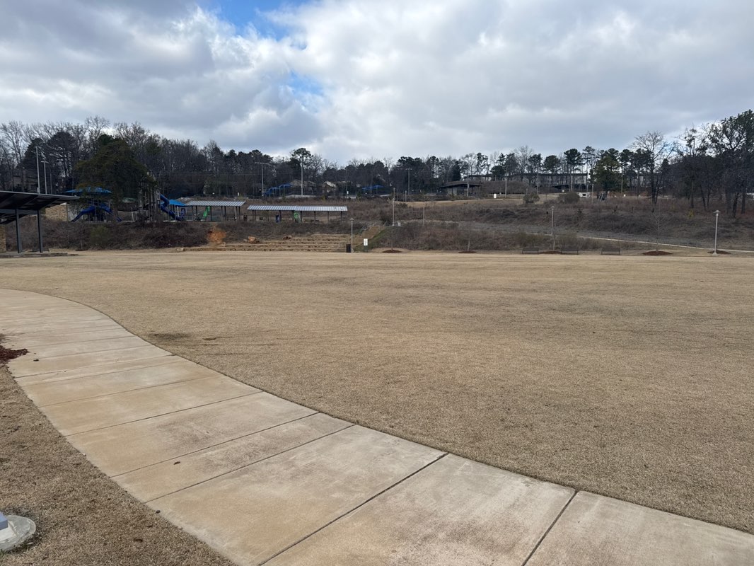 walking near me in Wald Park in winter