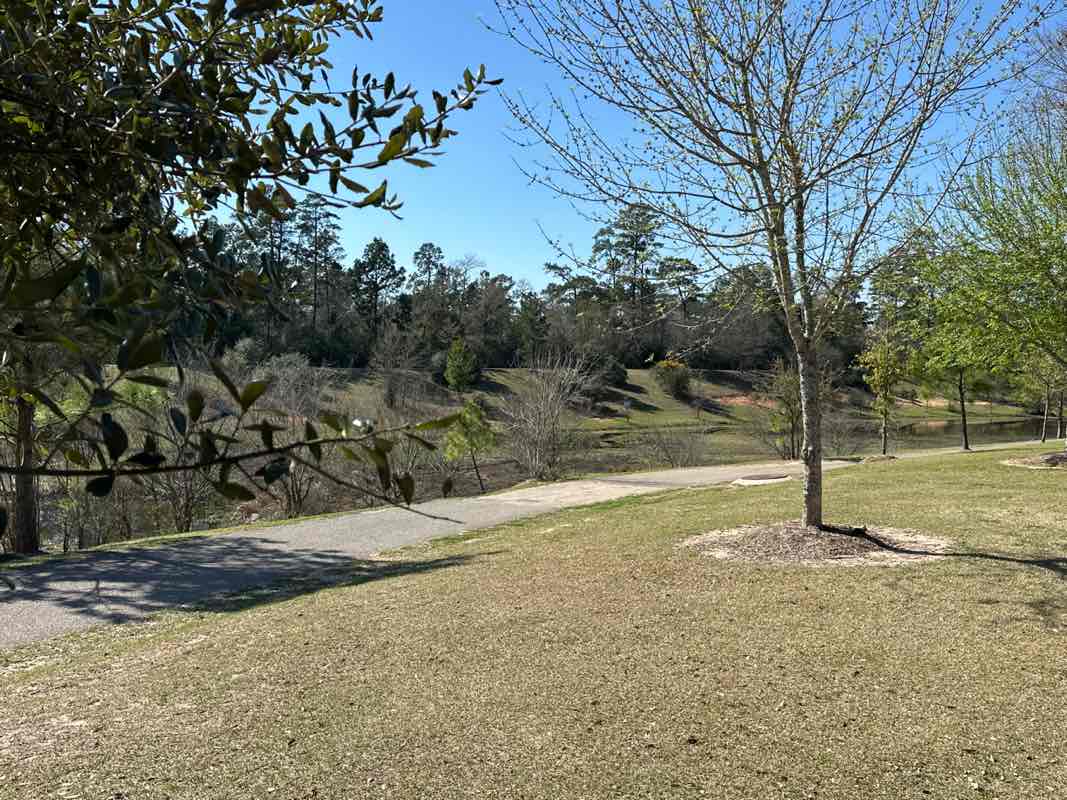 walking near me in Windvale Park in winter