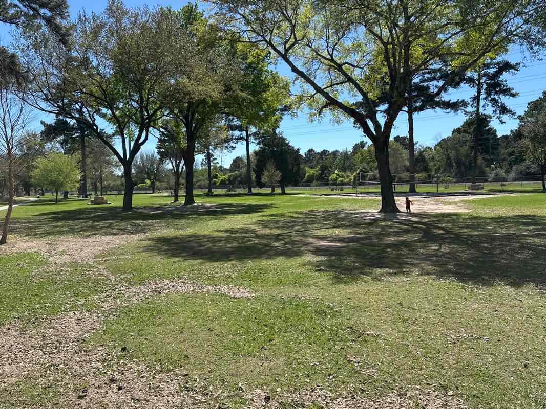 walking near me in Jurgens Park in spring