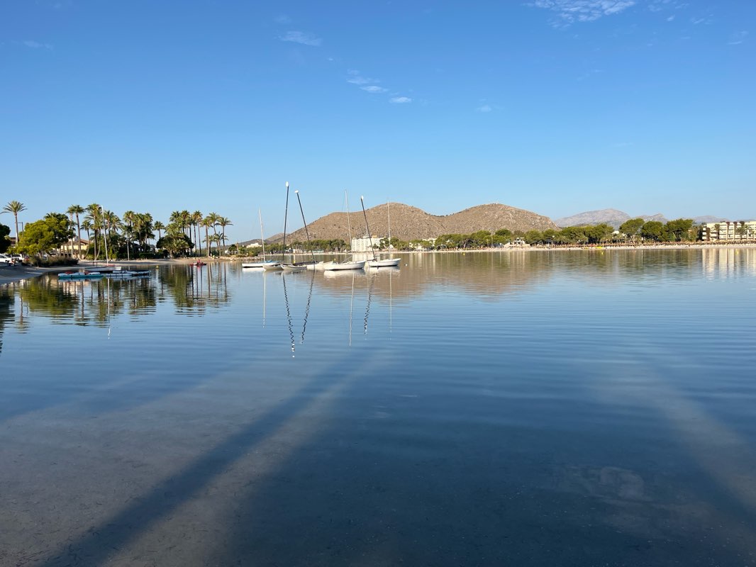 walking near me in Parc d'en Jaume Ensenyat Alemany in winter