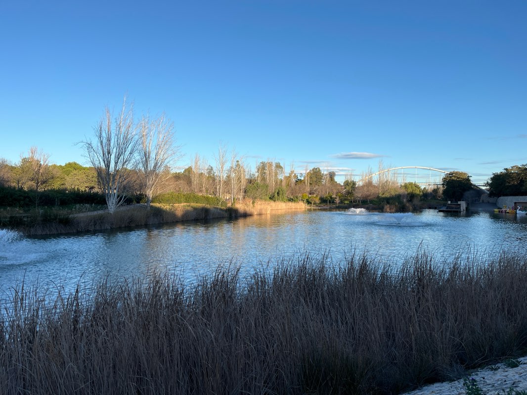 walking near me in Plaza del Poeta Badenes in winter