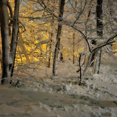 New Jersey Pacers 4Becca post image