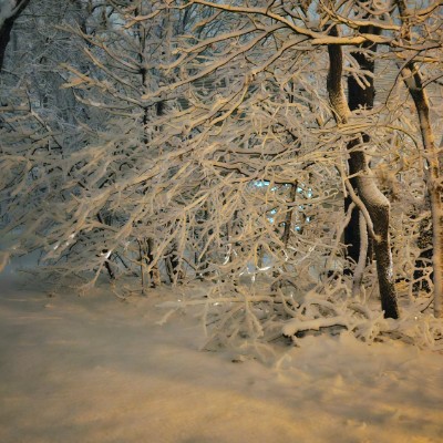 New Jersey Pacers 4Becca post image