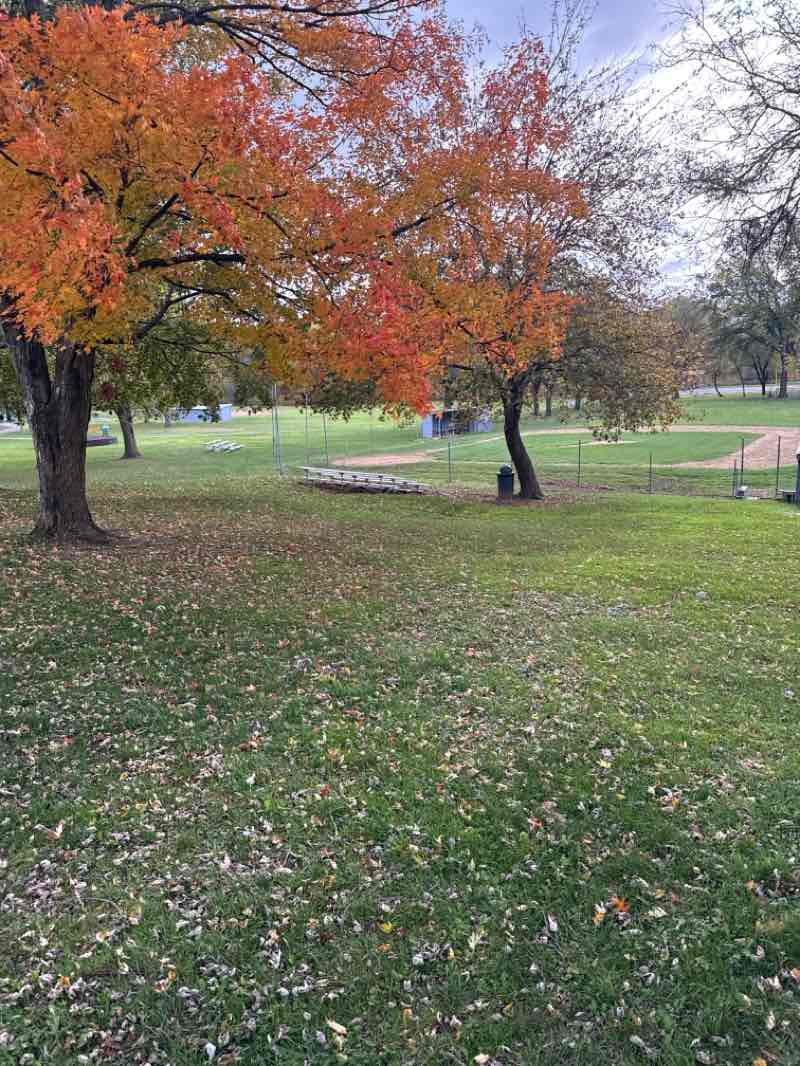 walking near me in Glendale Park in autumn