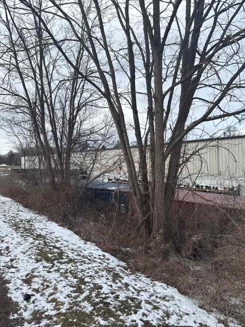 walking near me in Harold Moore Park in winter
