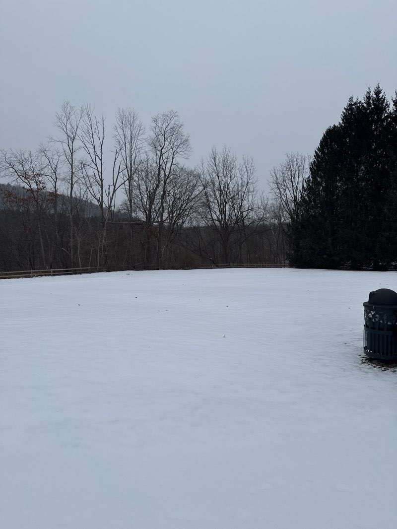 walking near me in Barlow Park in winter