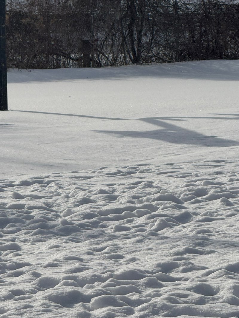 walking near me in Phelps Park in winter