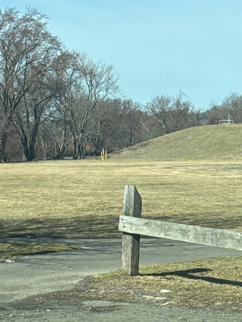 walking near me in William H. Hill Park in spring