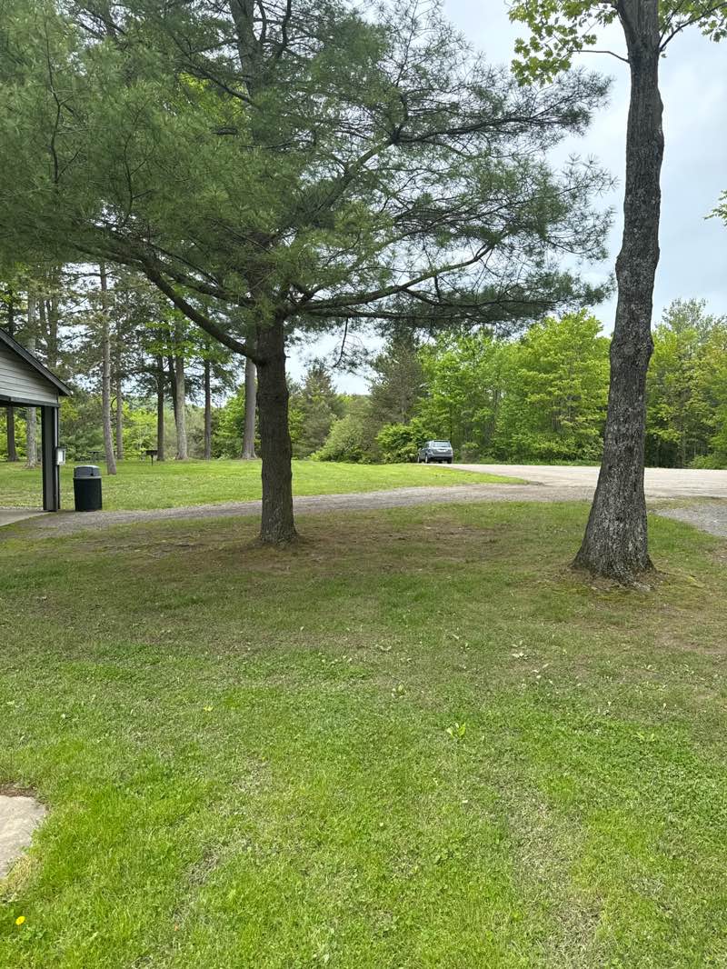 walking near me in Nathaniel Cole Park in spring