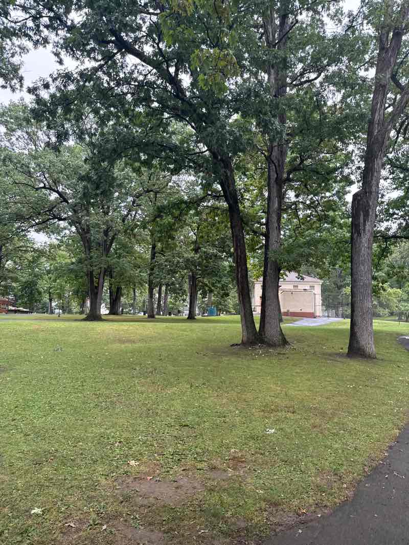 walking near me in Recreation Park in autumn